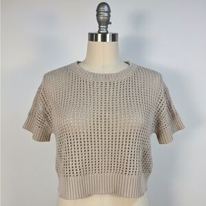 Dynamite Taupe Knit Crop Top